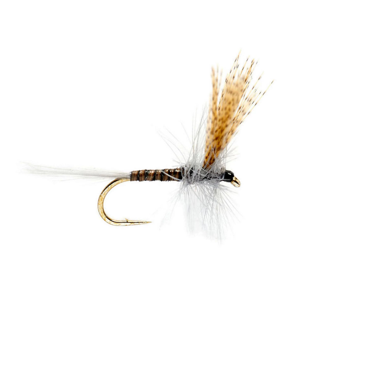 Orvis Great Value | Quill Gordon