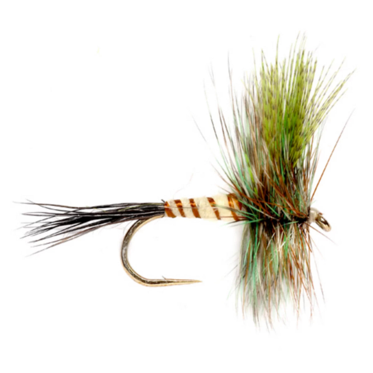 Orvis Special Offer | Eastern Green Drake