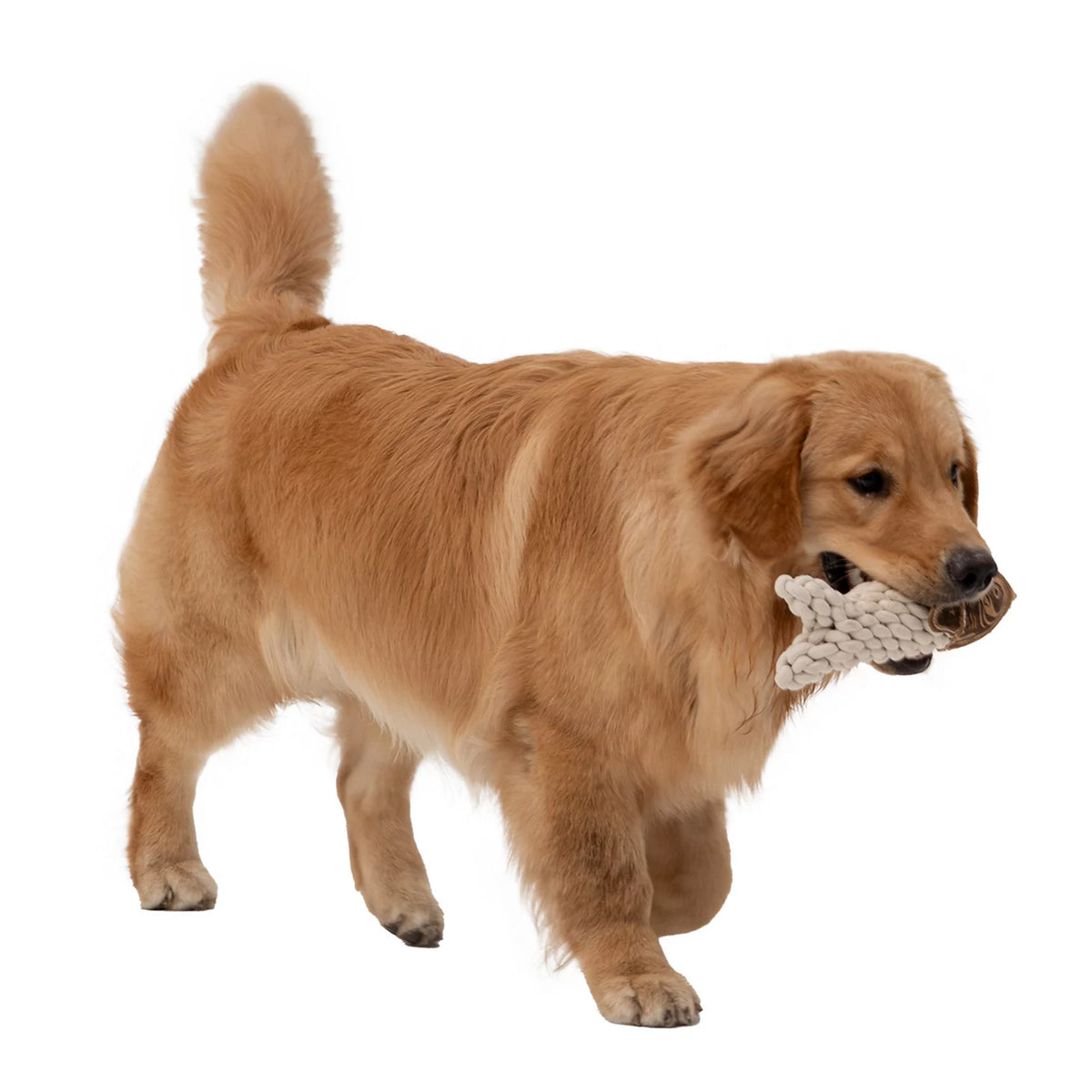 Orvis Classic | Rope Crunch Fish Dog Toy