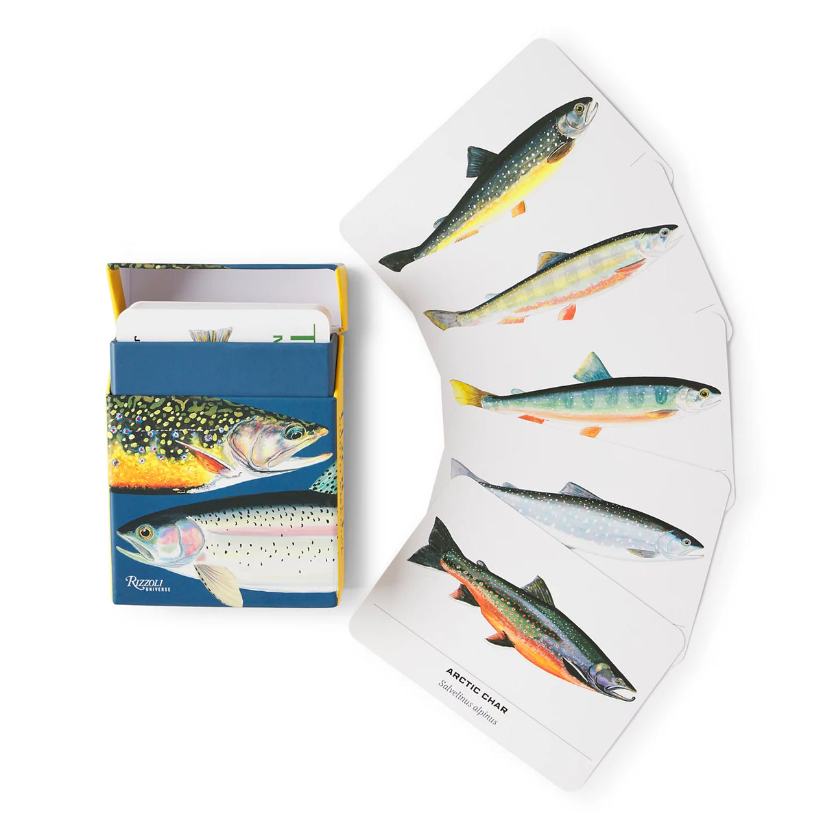 Orvis New | Trout of North America Cards