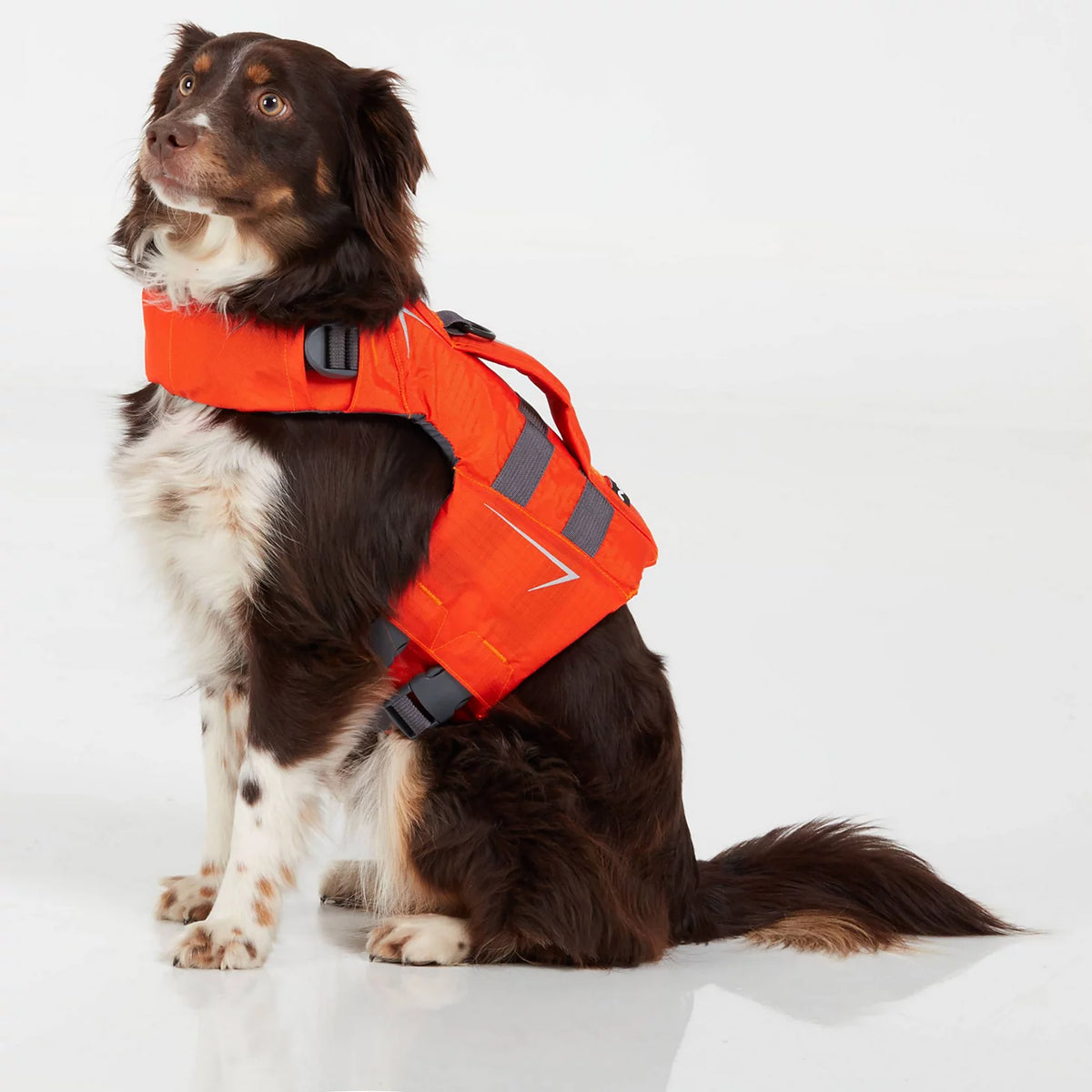 Orvis Great Value | NRS Dog Life Jacket