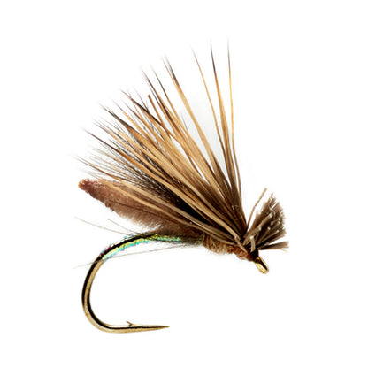 Orvis Great Value | Palomino Caddis