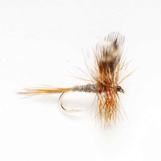 Orvis Latest | Adams