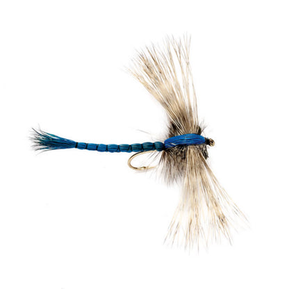 Orvis Special Offer | Gibson's Dragonfly
