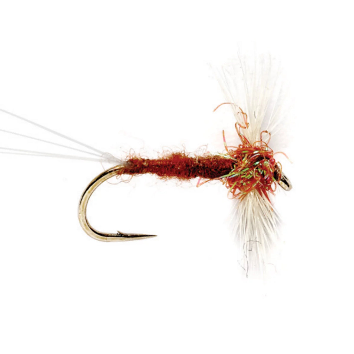 Orvis Latest | Rusty Spinner