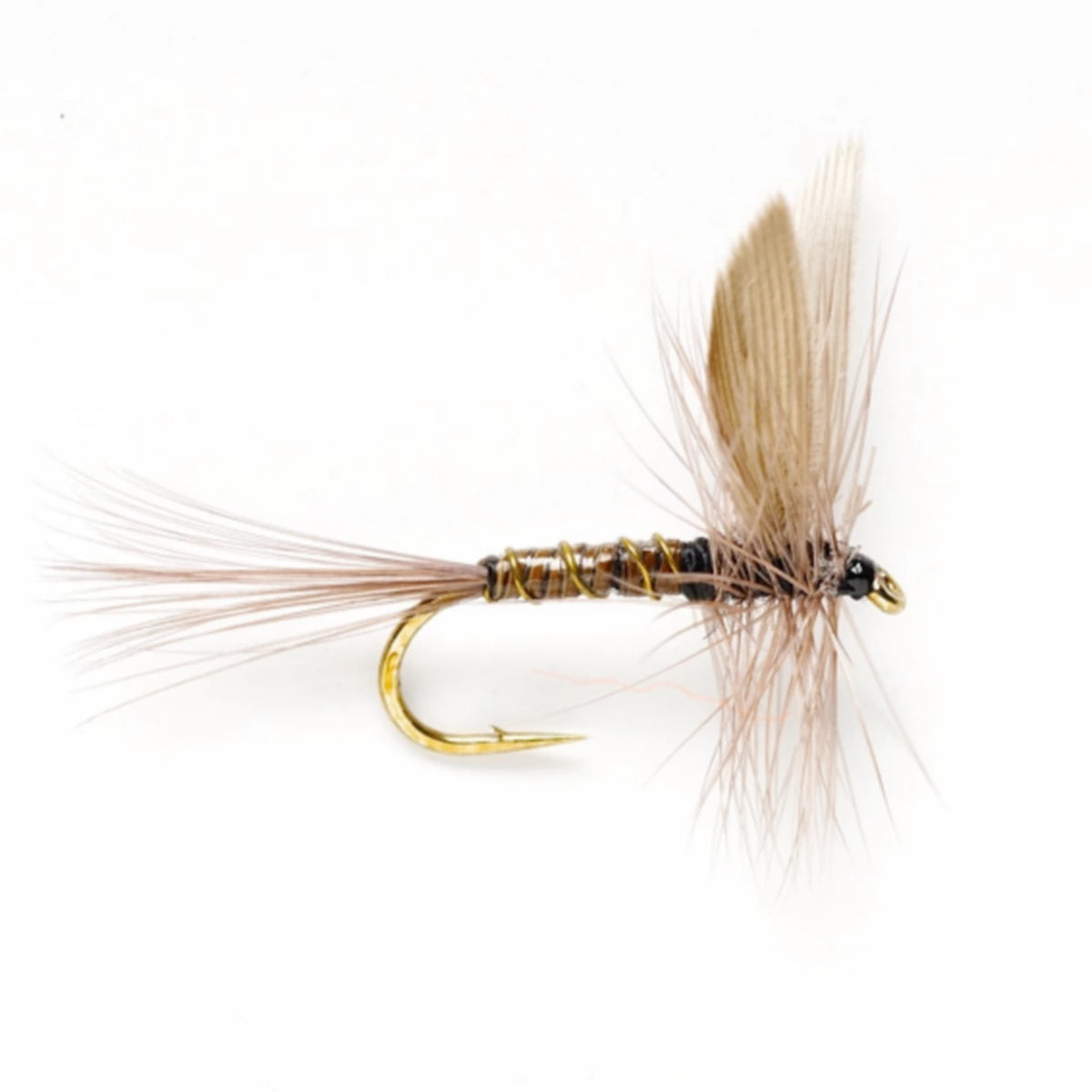 Orvis Recommended | Blue Quill