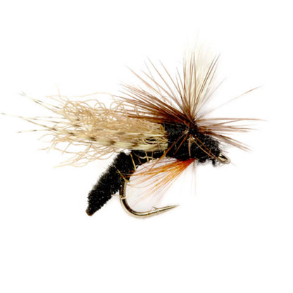 Orvis Great Value | Spotlight Caddis Emerger