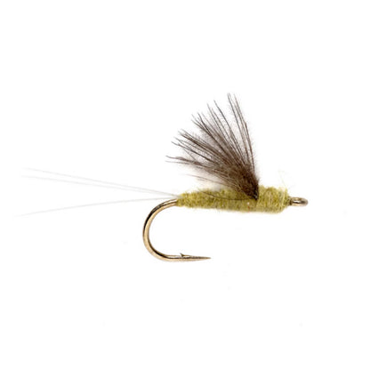 Orvis Trusted | RS2