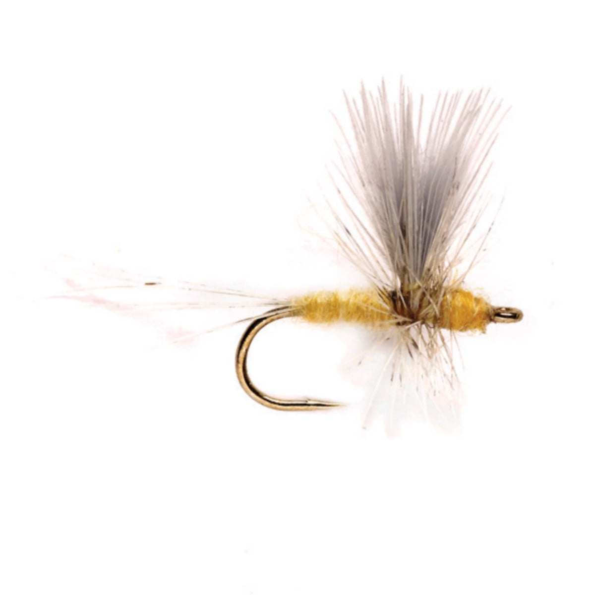 Orvis Deals | Pale Morning Dun Thorax