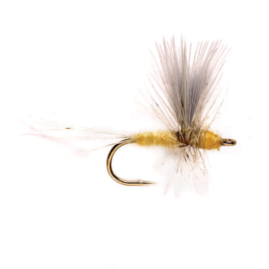Orvis Deals | Pale Morning Dun Thorax