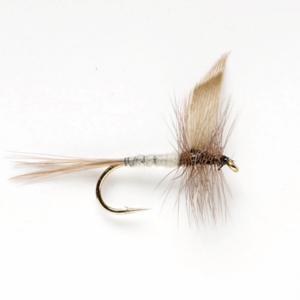 Orvis New | Blue Dun