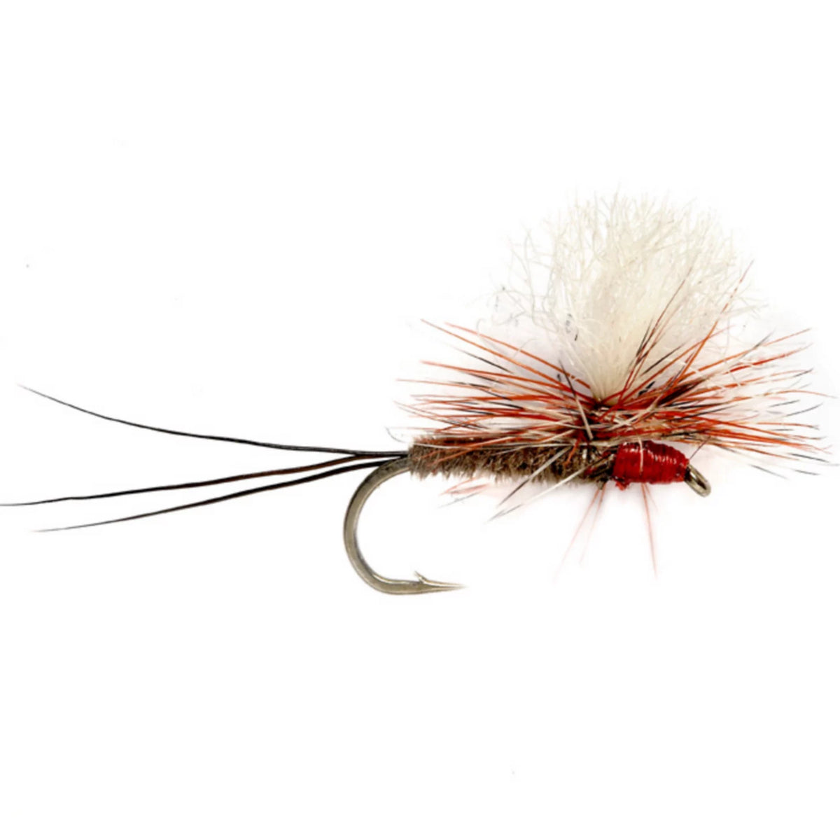Orvis Smart Buy | Dave's Oh-So-Iso