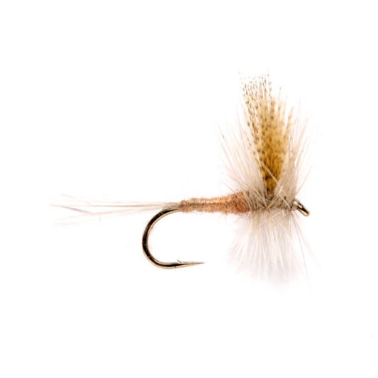 Orvis Special Offer | Light Hendrickson