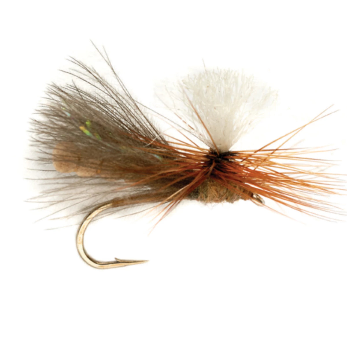 Orvis Classic | NBK Caddis Dry