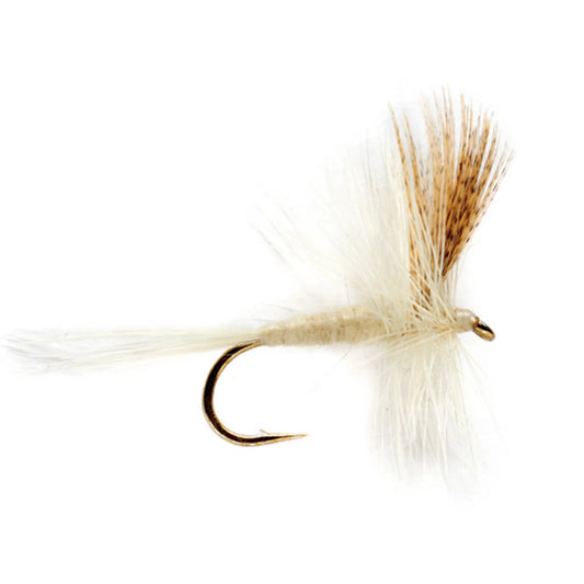 Orvis Deals | Light Cahill