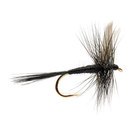 Orvis Deals | Black Gnat