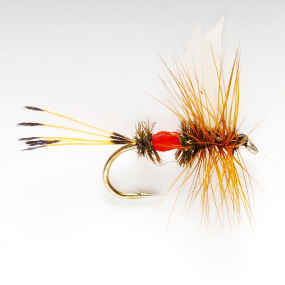 Orvis Latest | Royal Coachman