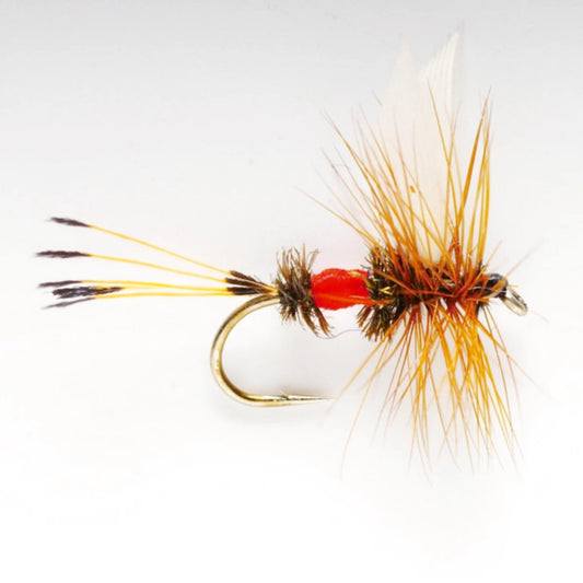 Orvis Latest | Royal Coachman