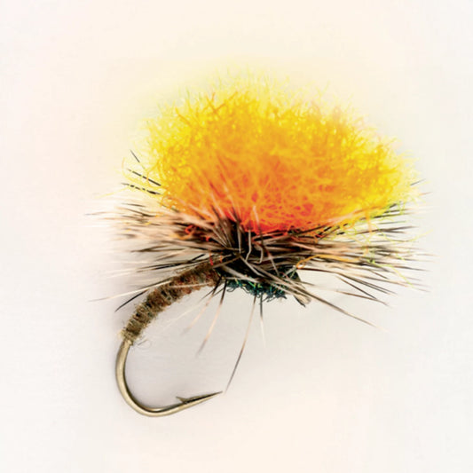 Orvis Value | Indicator Klinkhammer