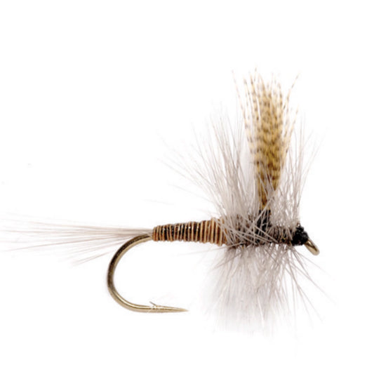 Orvis Classic | Red Quill