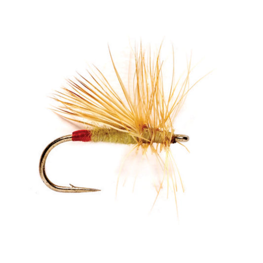 Orvis New | Yellow Sally