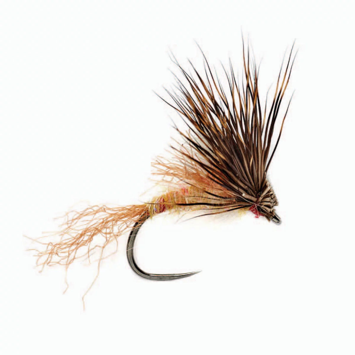 Orvis Latest | Rinker's CDC Wonder Bug