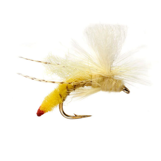 Orvis Sale | Spotlight Yellow Sally