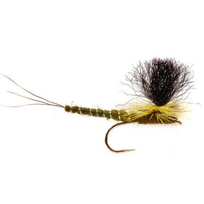 Orvis Popular | Travis Extended Body Green Drake