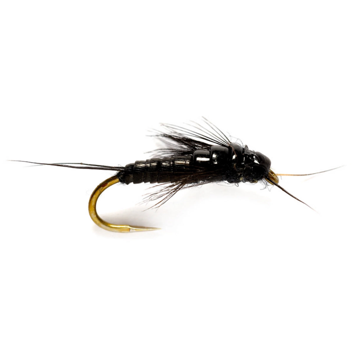 Orvis Latest | Little Black Stonefly
