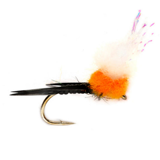 Orvis Hot Sale | Steak N Eggs