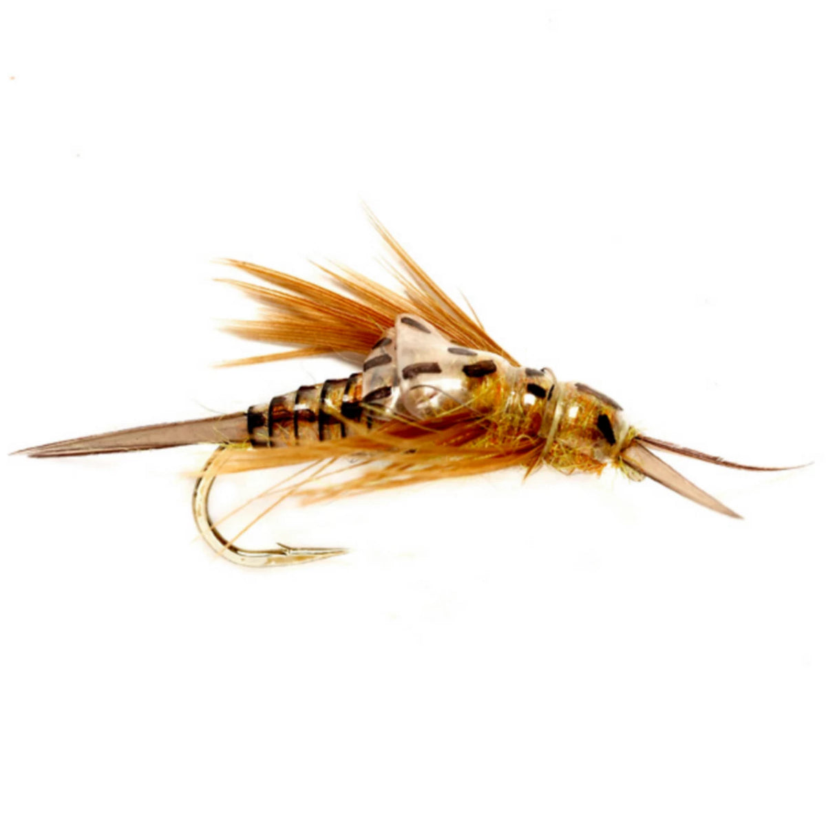Orvis New | OE Stonefly Nymph