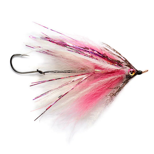 Orvis Everyday | Intruder