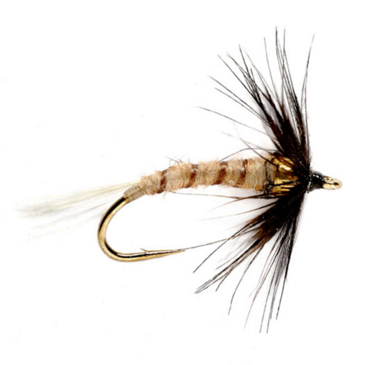 Orvis Latest | Bead Head Flymph - Hendrickson