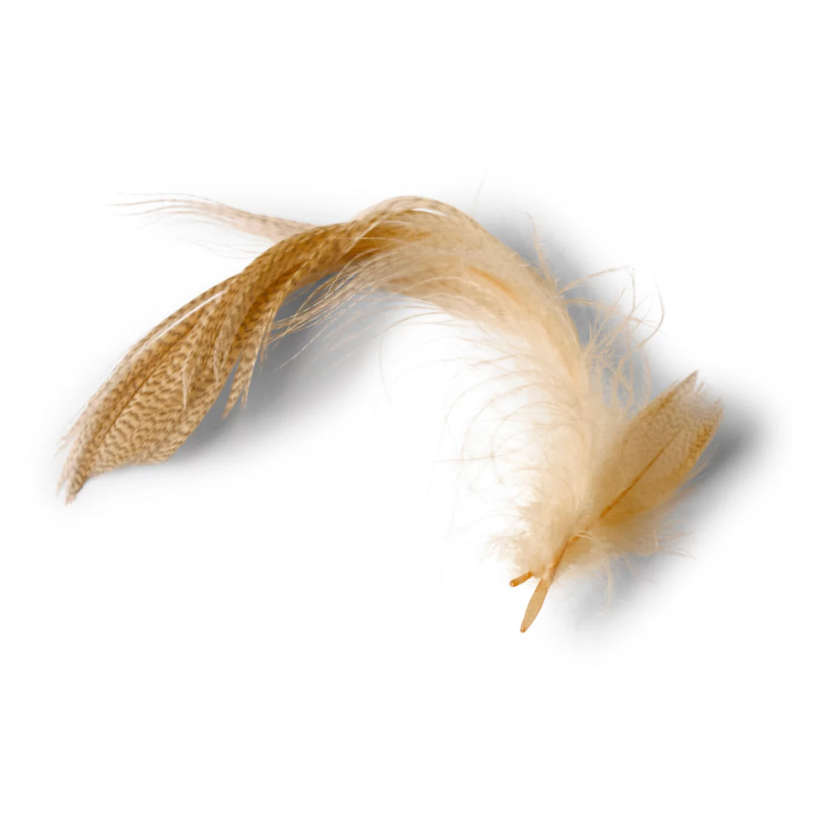 Orvis Discount | Mallard Duck Side Feathers