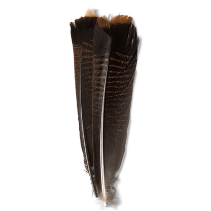 Orvis Exclusive | Mottled Turkey Feathers