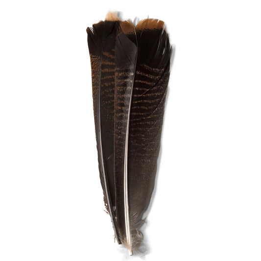 Orvis Exclusive | Mottled Turkey Feathers