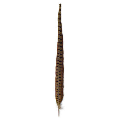 Orvis Essential | Pheasant Tail