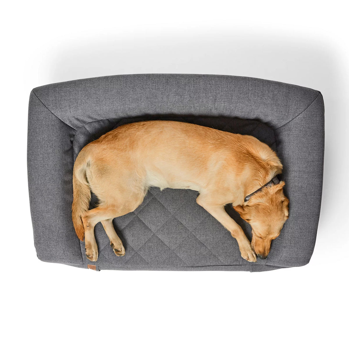 Orvis Smart Buy | Orvis RecoveryZone® Couch Dog Bed