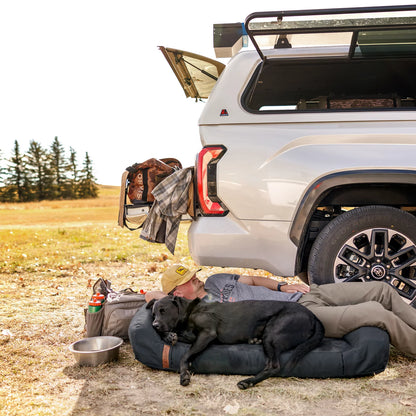 Orvis Smart Buy | Orvis RecoveryZone® Couch Dog Bed