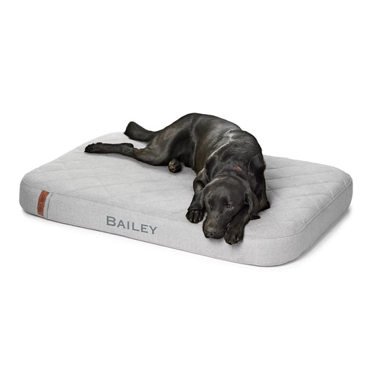 Orvis Special Offer | Orvis RecoveryZone® Lounger Dog Bed