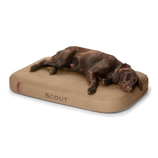 Orvis Discount | Orvis RecoveryZone® ToughChew® Lounger Dog Bed