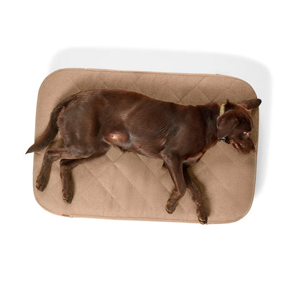 Orvis Discount | Orvis RecoveryZone® ToughChew® Lounger Dog Bed