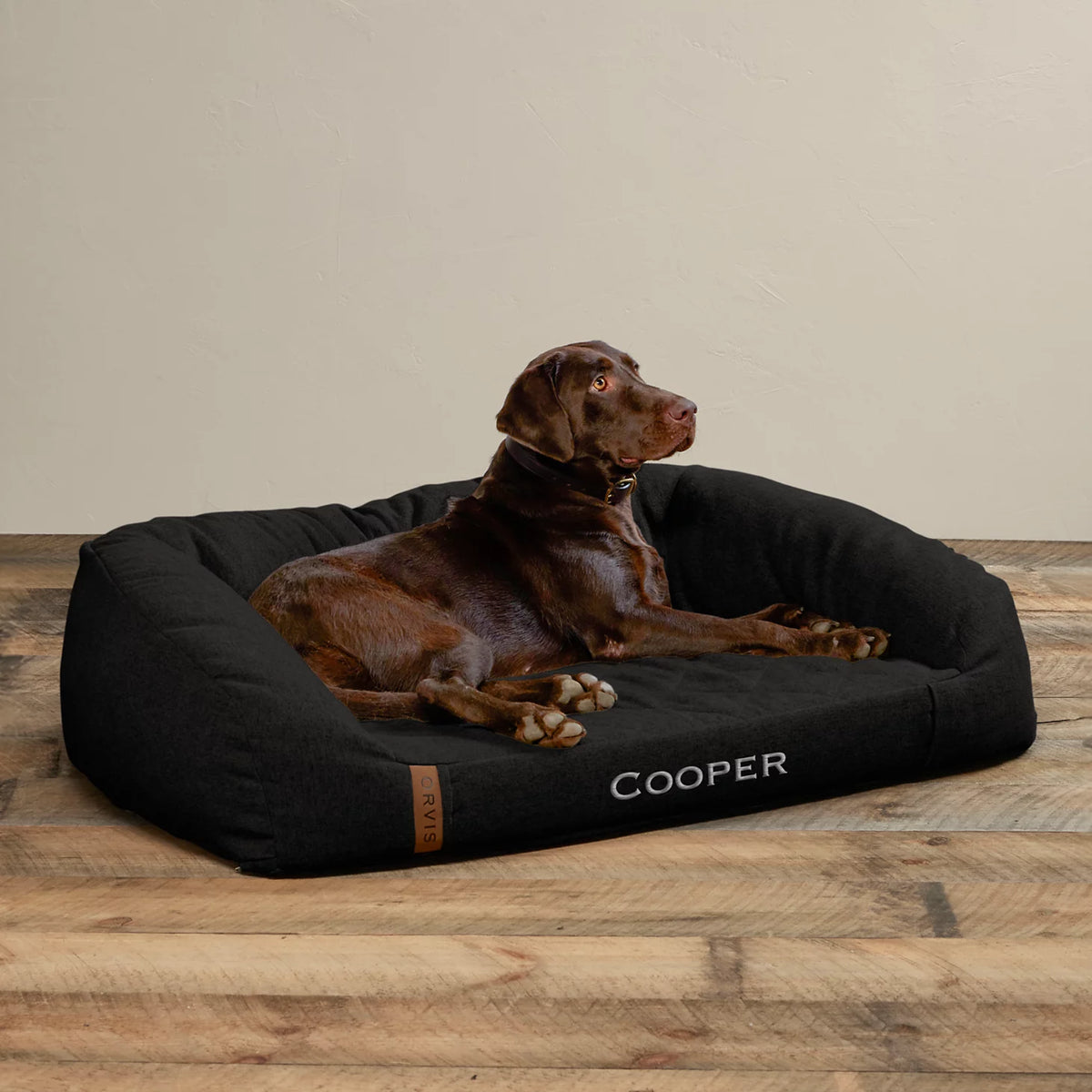 Orvis Top Pick | Memory Foam Couch Dog Bed