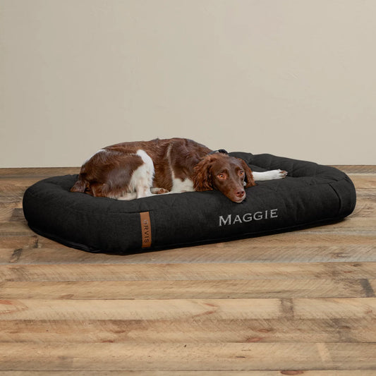 Orvis Value | Memory Foam Lounger Dog Bed