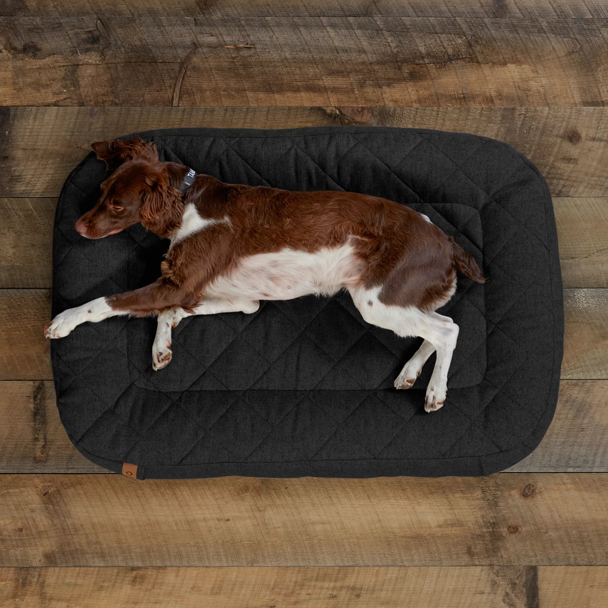 Orvis Value | Memory Foam Lounger Dog Bed