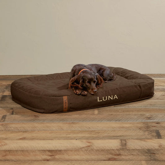 Orvis Quality | ToughChew® Memory Foam Lounger Dog Bed