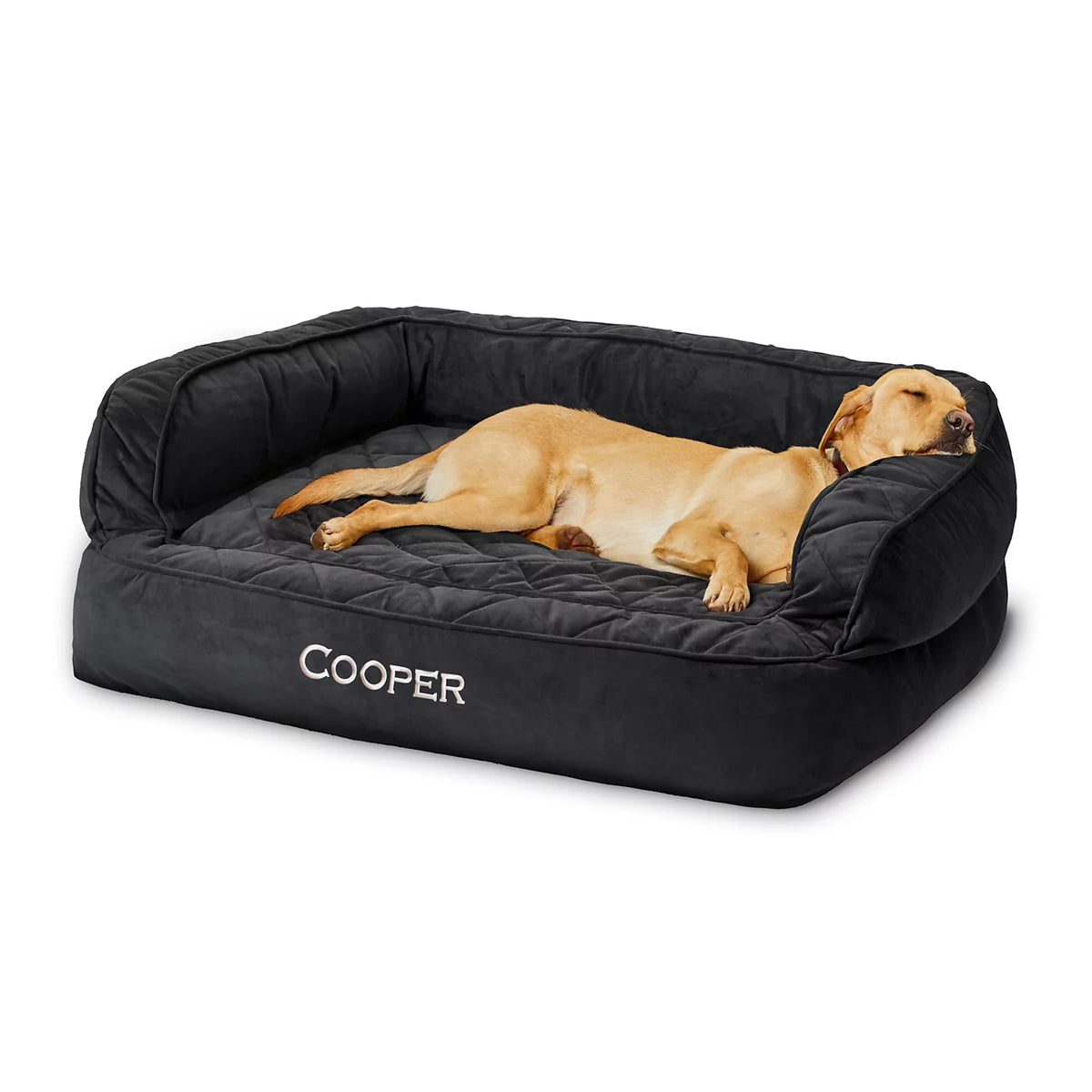 Orvis Featured | Orvis Memory Foam Deluxe Dog Bed