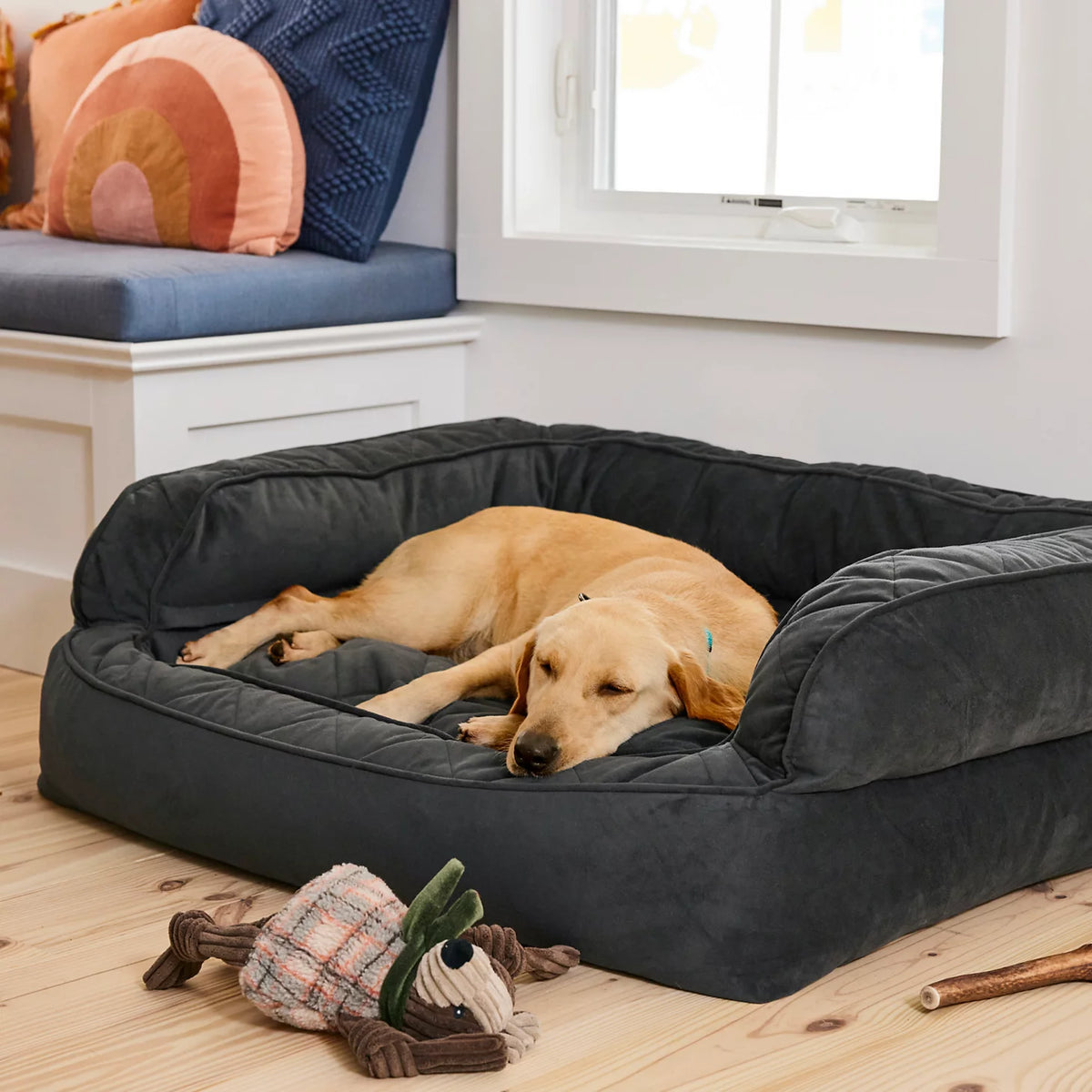 Orvis Featured | Orvis Memory Foam Deluxe Dog Bed