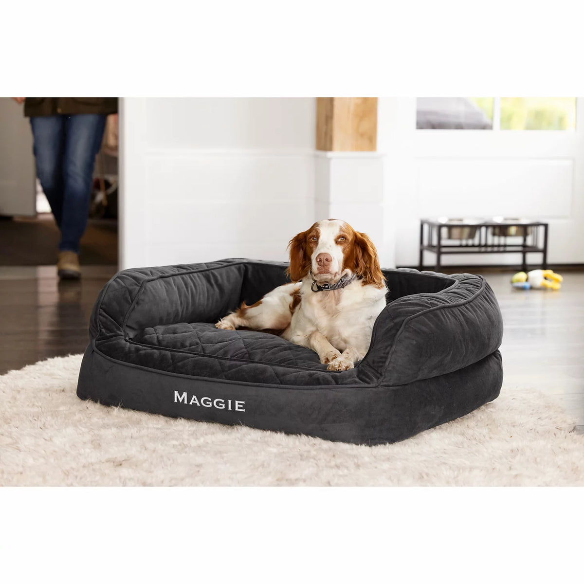Orvis Featured | Orvis Memory Foam Deluxe Dog Bed