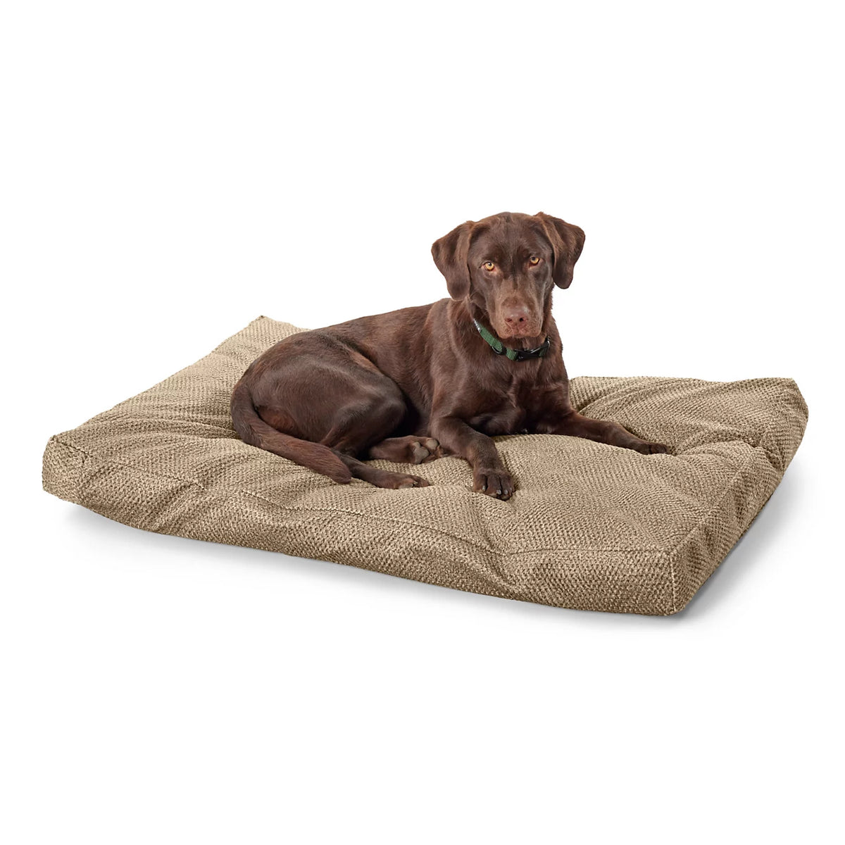 Orvis Recommended | Orvis ComfortFill-Eco® Lounger Dog Bed